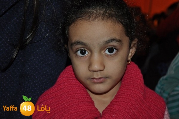 tree light 1208 (81).JPG